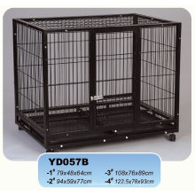 Golden Supplier et Golden Square Black Metal Cage